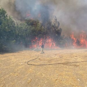 canakkalede orman yangini AxcTuprX