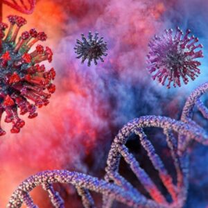 dunya alarm durumuna gecti chikungunya virusu nedir r9Pq4u3E