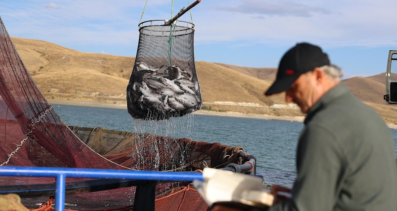 bayburtta hasadi basladi tonlarca urun rusya yolunda rIxwcNp3