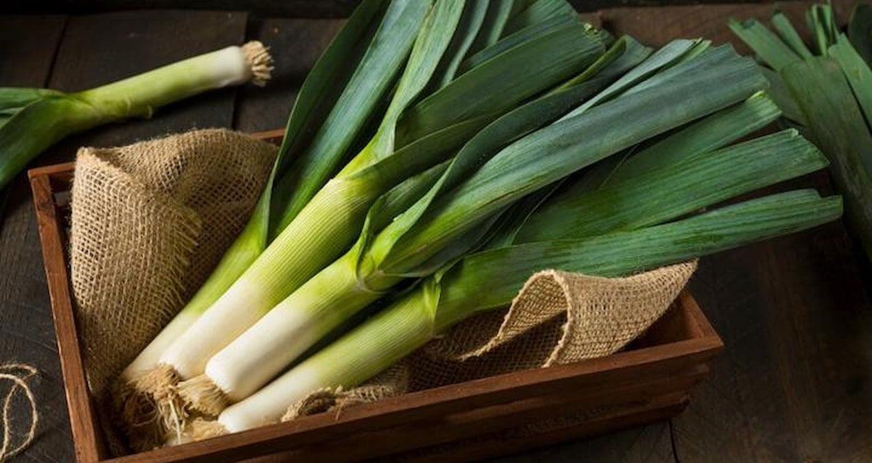 pirasa yerken bir kez daha dusunun aBNxBWFA