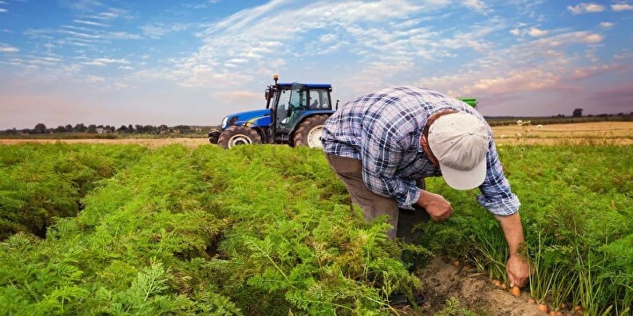 son dakika ciftcinin enflasyonunda dev artis MOPdneqH
