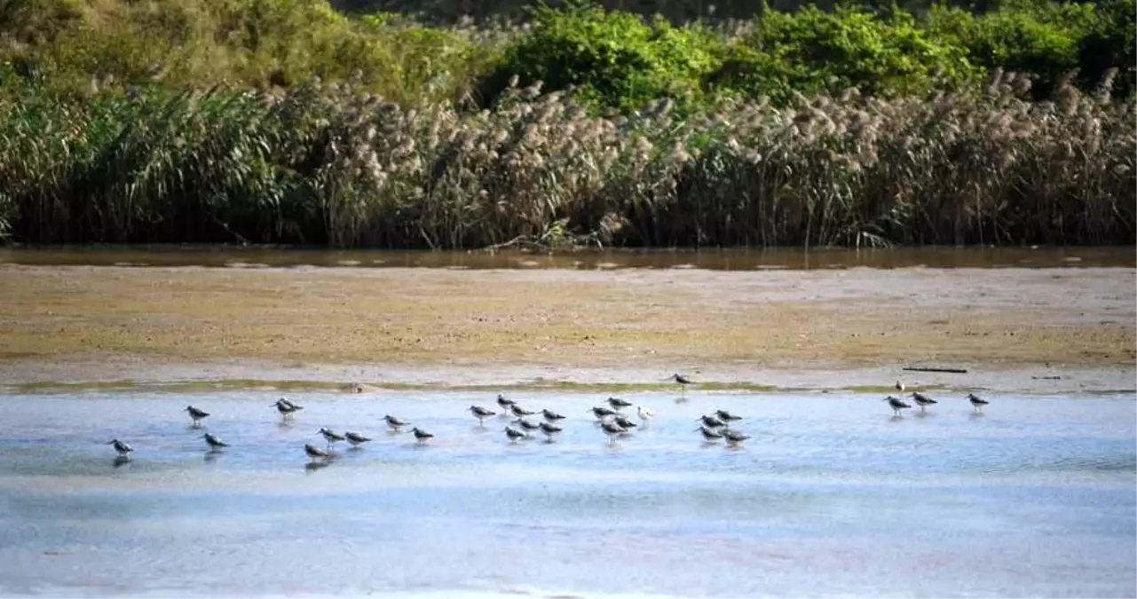 guangdong eyaleti 300000 gocmen kusa ev sahipligi yapacak ct5uOXQ4.jpg