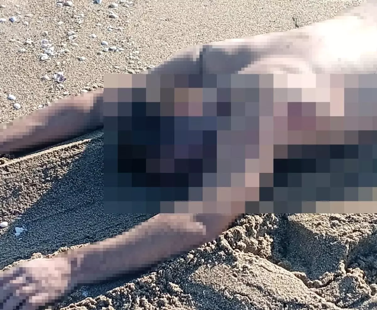 sakaryada ciplak erkek cesedi bulundu RSLHmBhX