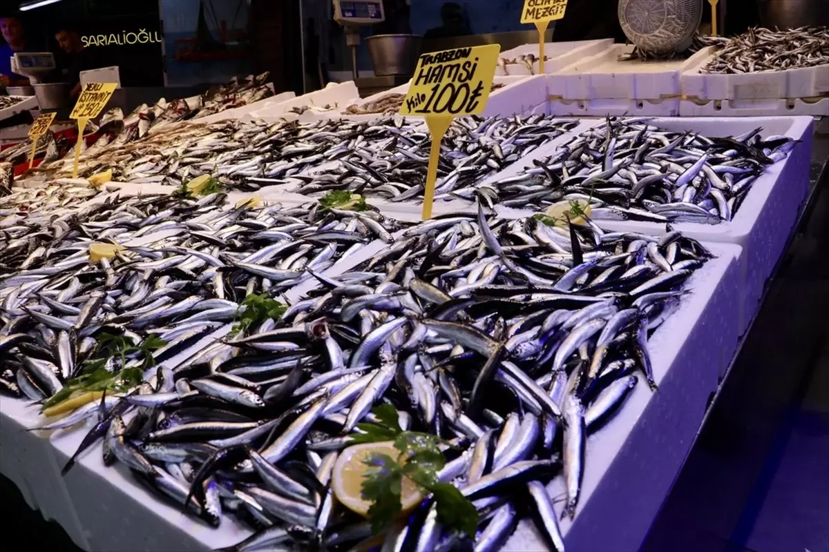 trabzonda hamsi fiyatlari 100 lira MSQ6wri7.jpg
