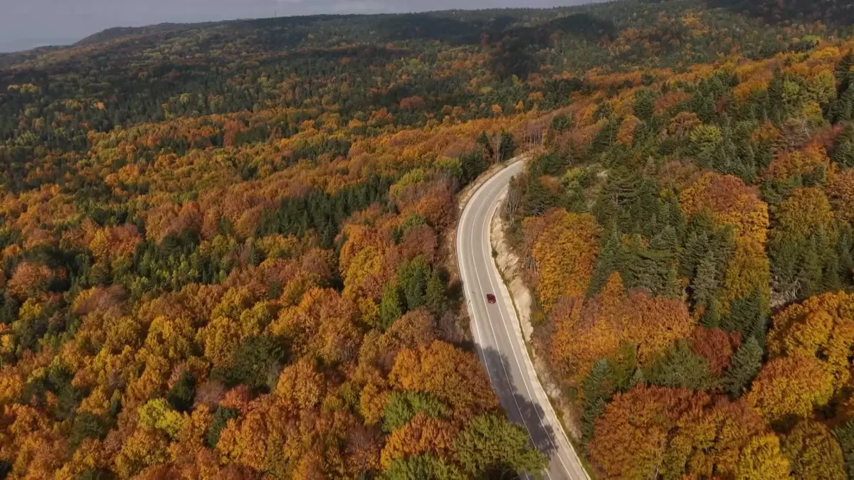 uludagda sonbahar guzelligi UpPWerBf.jpg