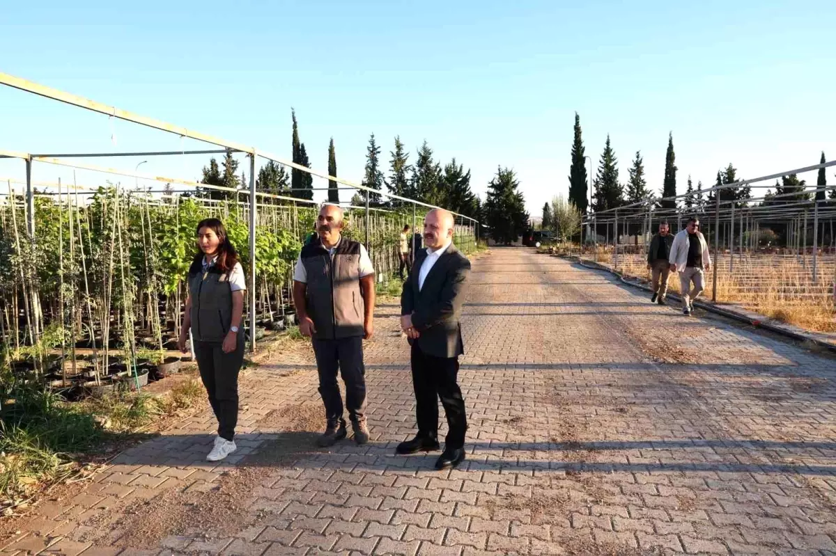 vali varoldan fidanlik ziyareti gz9SzZZP.jpg